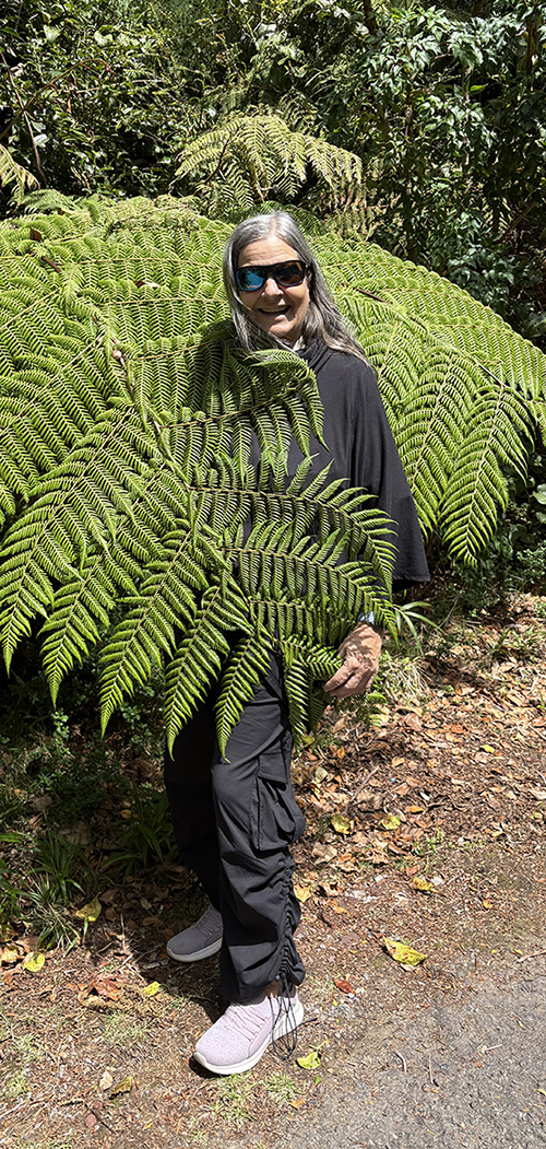 Sue Payne
